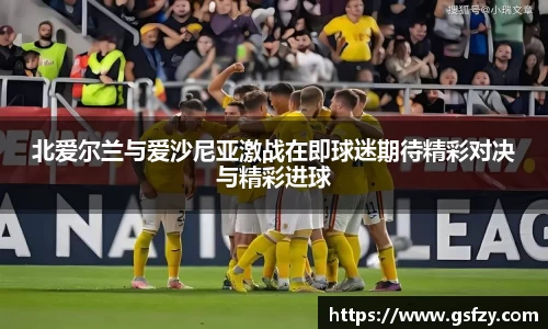 北爱尔兰与爱沙尼亚激战在即球迷期待精彩对决与精彩进球